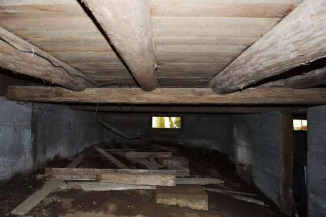 Grey In The Green photo 5