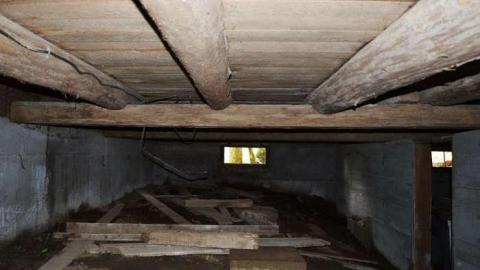 Grey In The Green photo 5