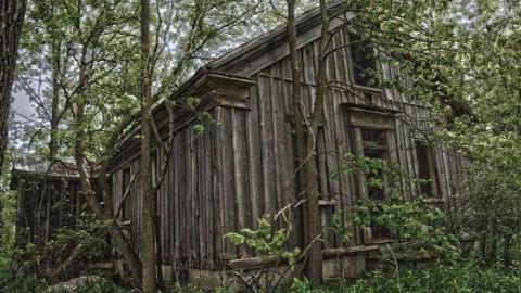 June 2014 - DSC_0504.jpg