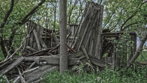 June 2014 - DSC_0505.jpg