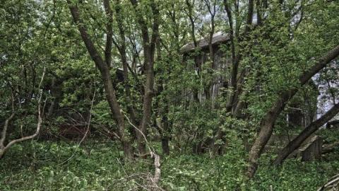 June 2014 - DSC_0525.jpg