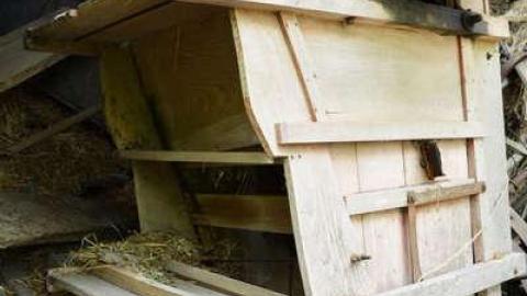 June 2014 - DSC_0534.jpg