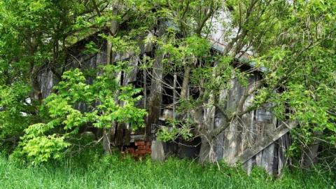 June 2014 - DSC_0535.jpg