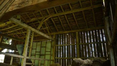 June 2014 - DSC_0536.jpg