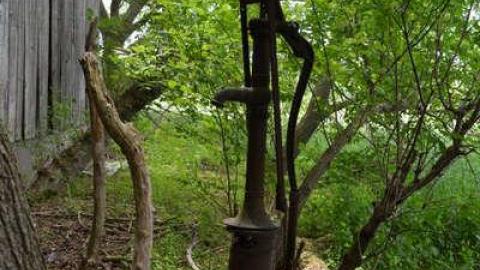 June 2014 - DSC_0538.jpg