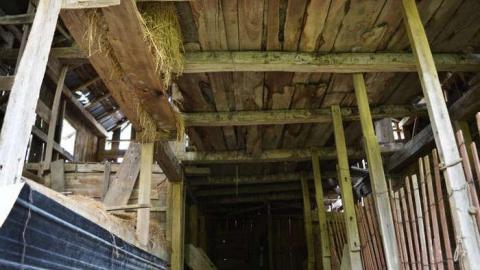 June 2014 - DSC_0545.jpg