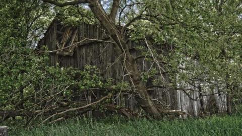 June 2014 - DSC_0550.jpg