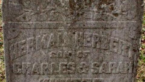 Nith River Relatives - Old-Christner-Cemetery5.jpg