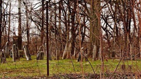 Nith River Relatives - Old-Christner-Cemetery23.jpg