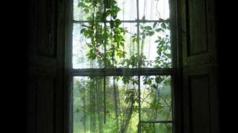 June2014 - Scenic-Farm-on-Township-Rd.-3304.jpg