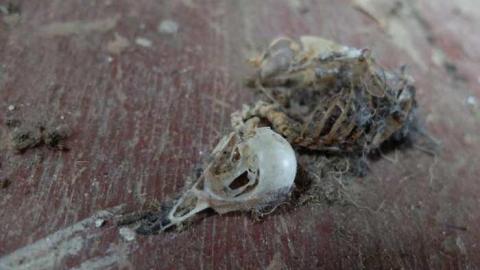 June2014 - Central-Elgin-Farmhouse49.jpg