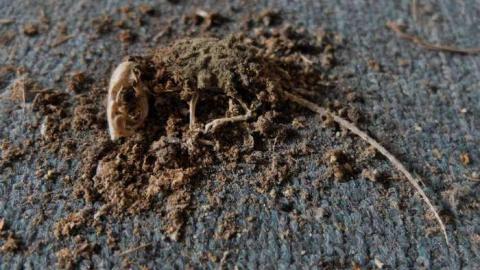 June2014 - Central-Elgin-Farmhouse51.jpg