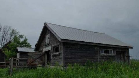 June2014 - Catherines-Farm155.jpg