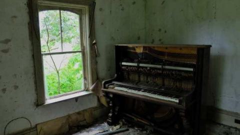 June2014 - Catherines-Farm156.jpg