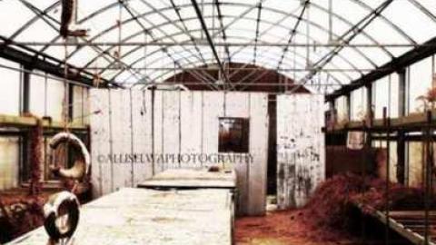 Photo from The Wicker Shop