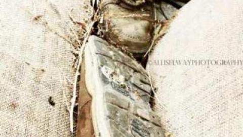 Photo from The Wicker Shop