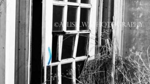 The Wicker Shop - European-Wicker-Imports140.jpg