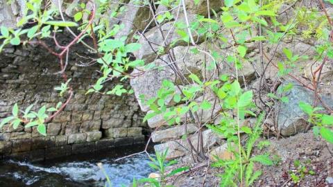 Bowman Creek Rail Bridge - Bowman-Creek-Rail-Bridge22.jpg