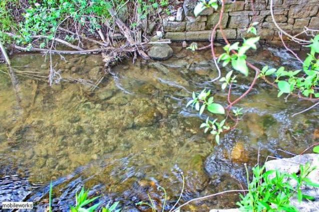 Bowman Creek Rail Bridge photo 3