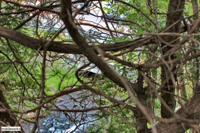 Bowman Creek Rail Bridge photo 4