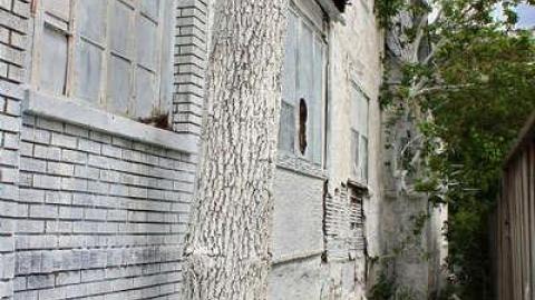 Lawn Darts Gone Wild - Saturn-and-Cronus22.jpg