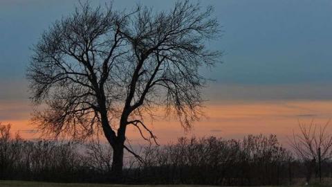 Pinehill Pioneer Cemetery photo 2