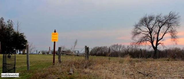 Pinehill Pioneer Cemetery photo 3