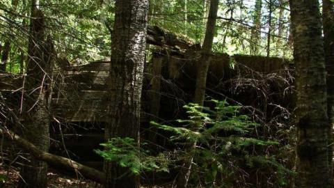 Mabella House photo 5