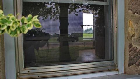  Solid like a Stone - Oxford-Stone-Surviver4.jpg