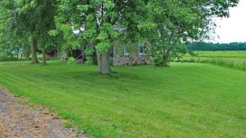  Solid like a Stone - Oxford-Stone-Surviver9.jpg