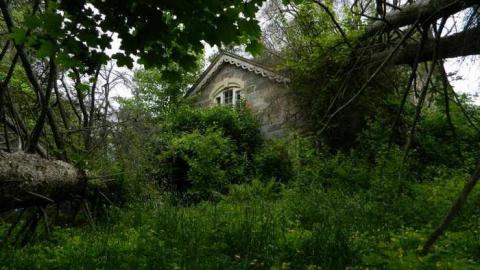 July 2013 - Scenic-Farm-on-Township-Rd.-3285.jpg