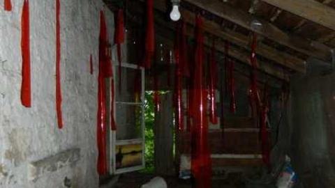 Photo from July 2013