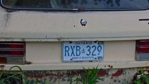 Hwy 588 Skunk House - Kakabeka-Skunk-Farm1.jpg