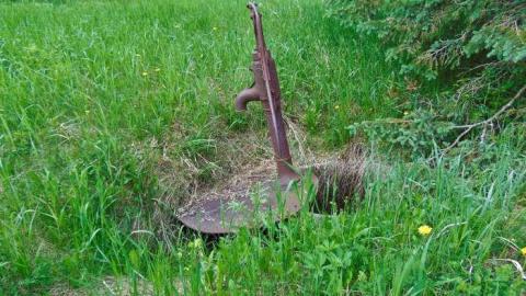 Hwy 588 Skunk House - Kakabeka-Skunk-Farm2.jpg