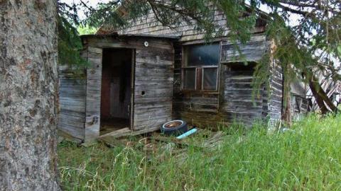 Hwy 588 Skunk House - Kakabeka-Skunk-Farm15.jpg