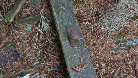 Hwy 588 Skunk House - Kakabeka-Skunk-Farm3.jpg