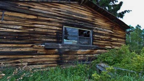 Hwy 588 Skunk House - Kakabeka-Skunk-Farm17.jpg