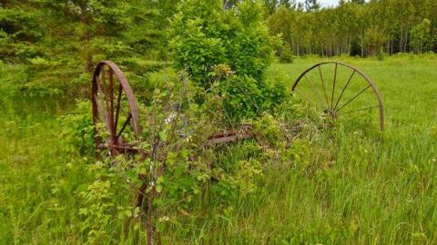 Hwy 588 Skunk House - Kakabeka-Skunk-Farm6.jpg