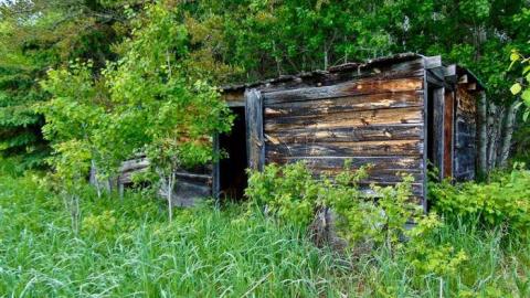 Hwy 588 Skunk House - Kakabeka-Skunk-Farm7.jpg