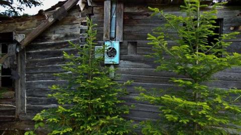 Hwy 588 Skunk House - Kakabeka-Skunk-Farm10.jpg