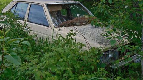 Hwy 588 Skunk House - Kakabeka-Skunk-Farm13.jpg