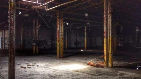 Short visits - jjimage.jpg