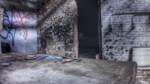 Short visits - amimage.jpg