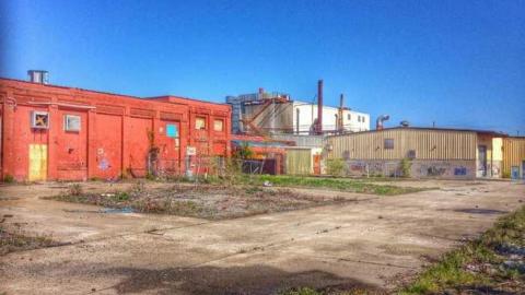 Short visits - ylimage.jpg