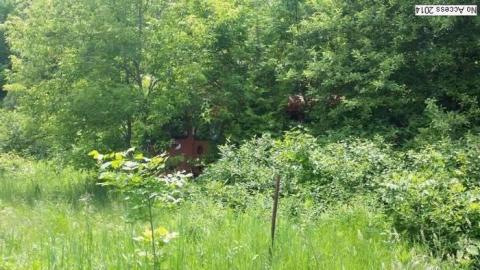 Eye Catch - 20140620_140533.jpg