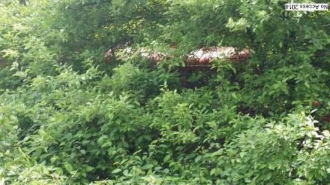 Eye Catch - 20140620_140513.jpg