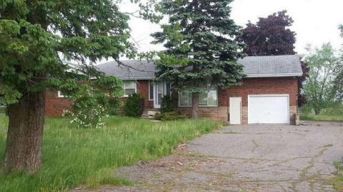 Country House photo 2