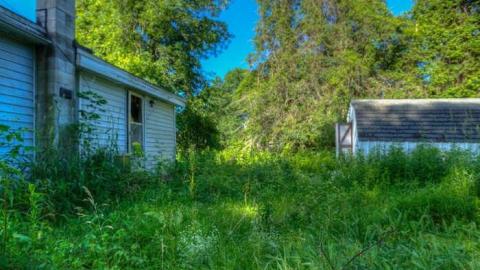 June 2014 - Live,-Laugh,-Love7.jpg