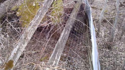 Spring 2014 Hike - Old-Farm-Handed-Back-To-Nature4.jpg