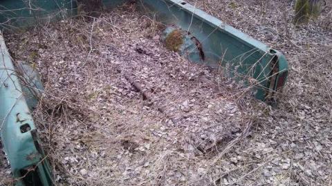 Photo from Spring 2014 Hike